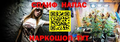 стаф Свободный