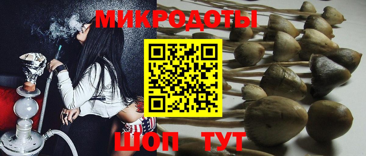 Псилоцибиновые грибы Psilocybine cubensis Малгобек